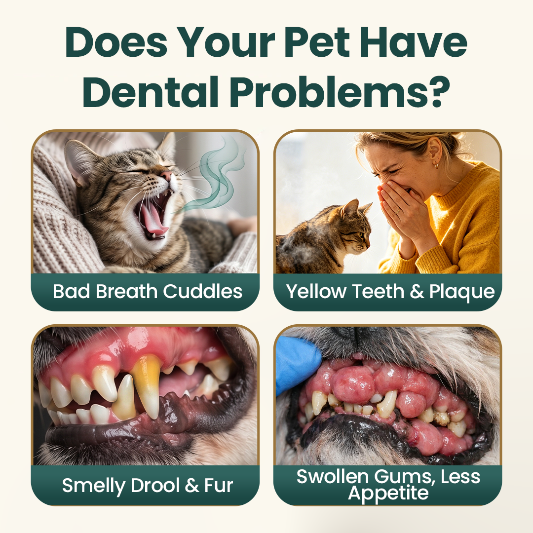 TrustedPet Oral Care Spray - Easy Daily Dental Support