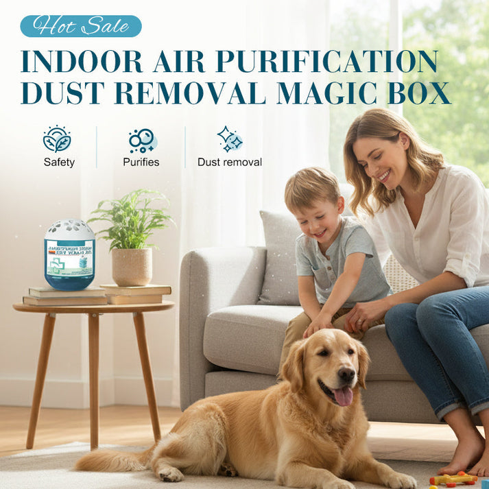 🔥2026 New Collection - Limited-Time Pre-Sale⏰Indoor Air Purification Dust Removal Magic Box🏠🌿-GD