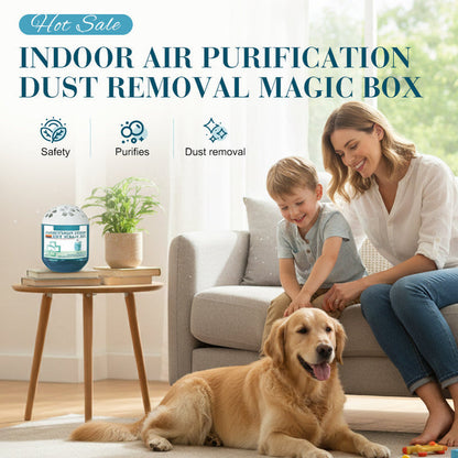 🔥2026 New Collection - Limited-Time Pre-Sale⏰Indoor Air Purification Dust Removal Magic Box🏠🌿-GD